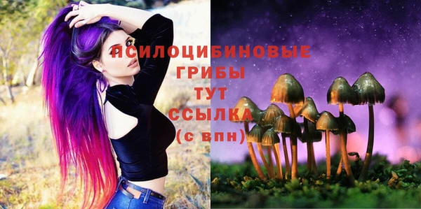 spice Алексин