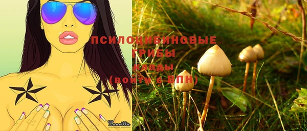 spice Алексин
