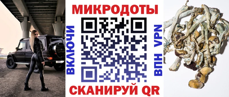 Псилоцибиновые грибы Cubensis  как найти   Безенчук 